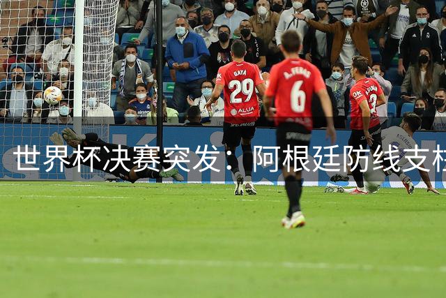 世界杯决赛突发：阿根廷防线支柱马丁内斯伤退离场